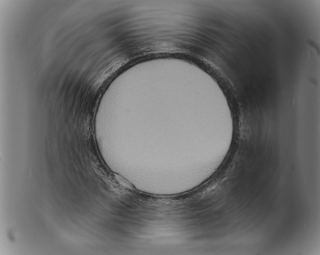 X0000098200873200805221539