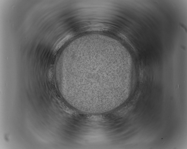 X0000098200874200805221539