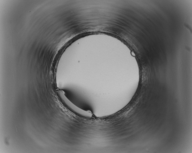 X0000098200876200805221539