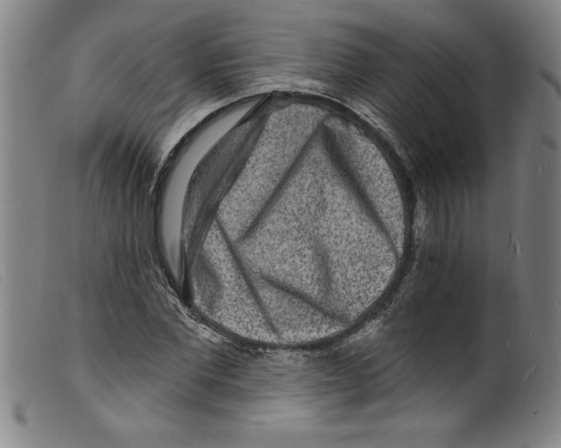 X0000098200877200805221539