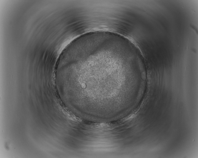 X0000098200879200805221539