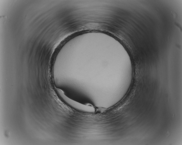 X0000098200880200805221539