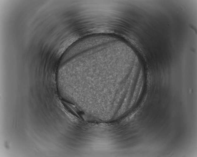 X0000098200881200805221539