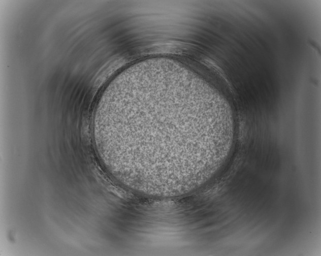 X0000098200882200805221539
