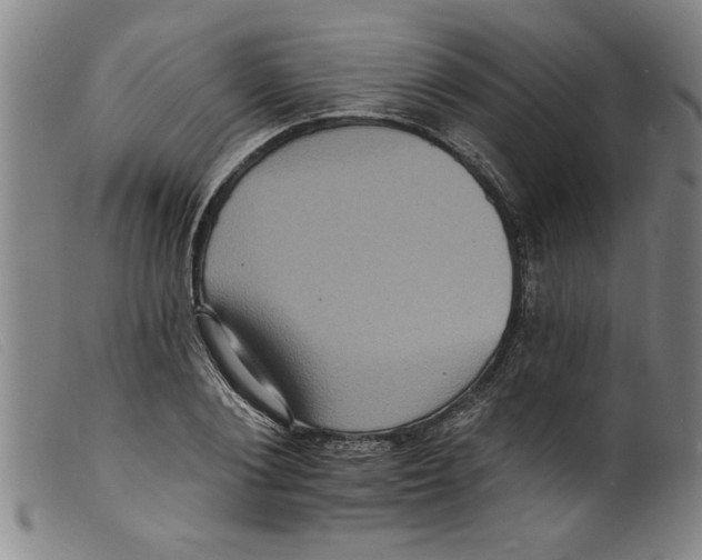 X0000098200884200805221539