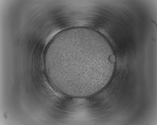 X0000098200886200805221539