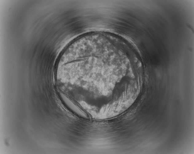 X0000098200887200805221539