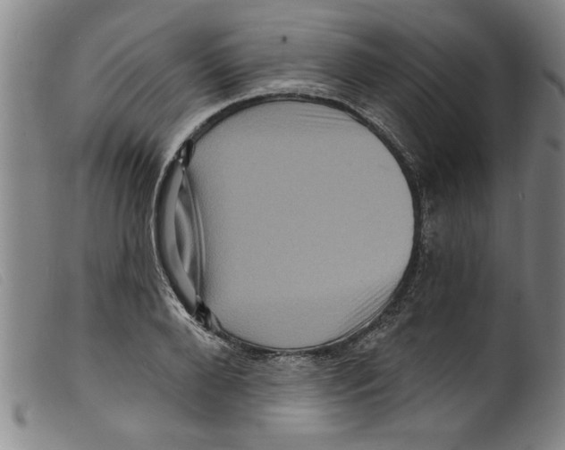 X0000098200888200805221539