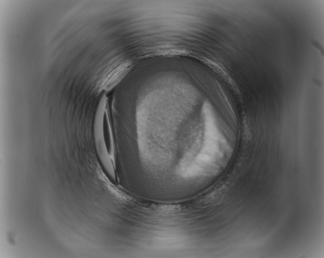 X0000098200889200805221539