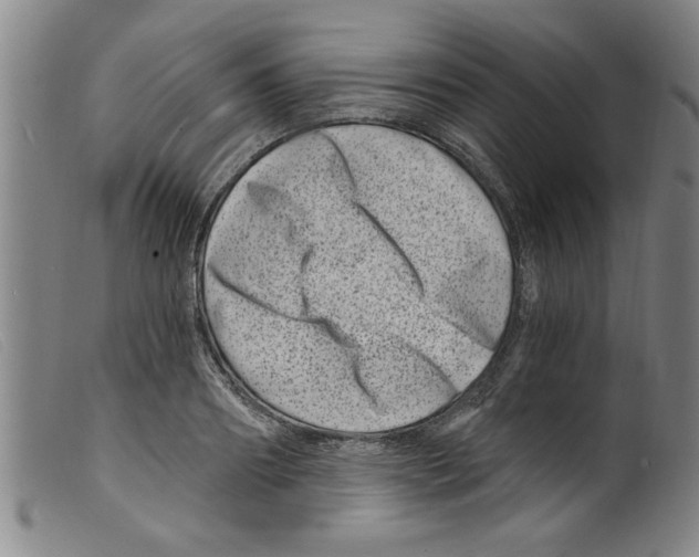 X0000098200890200805221539