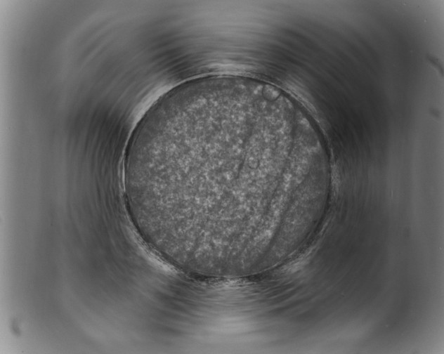 X0000098200891200805221539