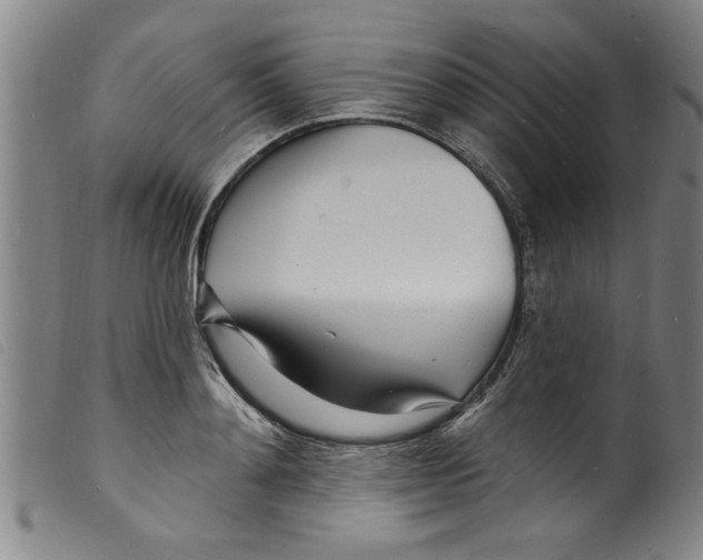 X0000098200892200805221539