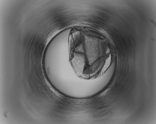 X0000098200893200805221539