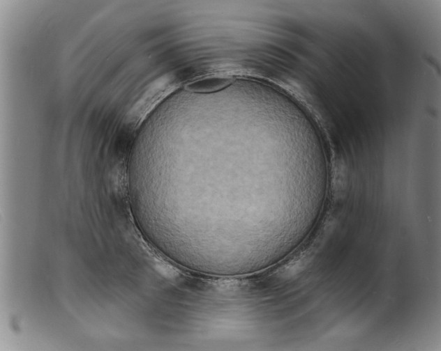 X0000098200897200805221539