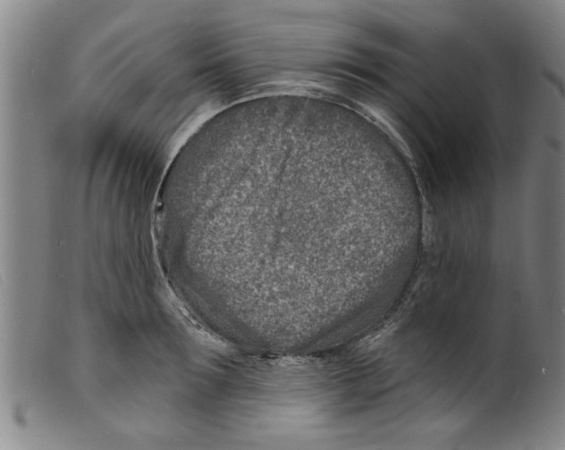 X0000098200899200805221539