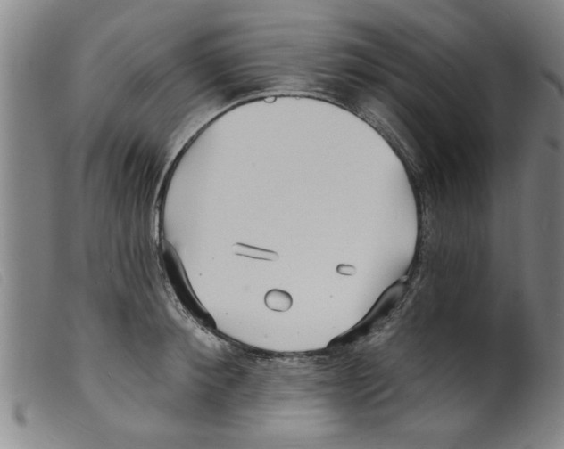 X0000098200900200805221539
