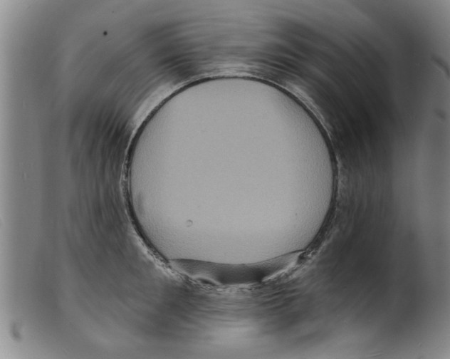 X0000098200901200805221539