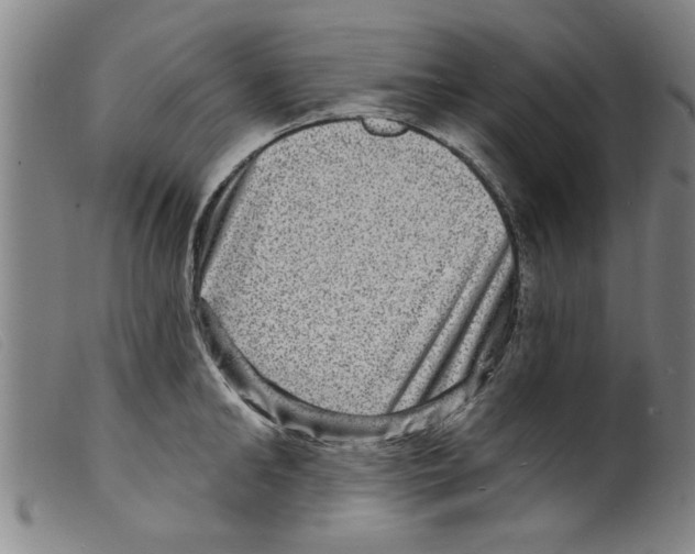 X0000098200902200805221539
