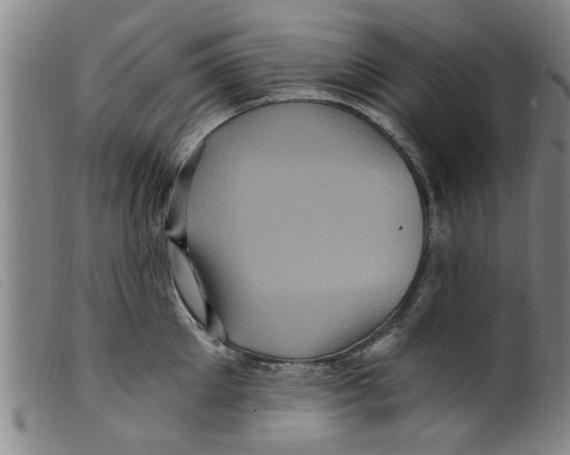 X0000098200905200805221539