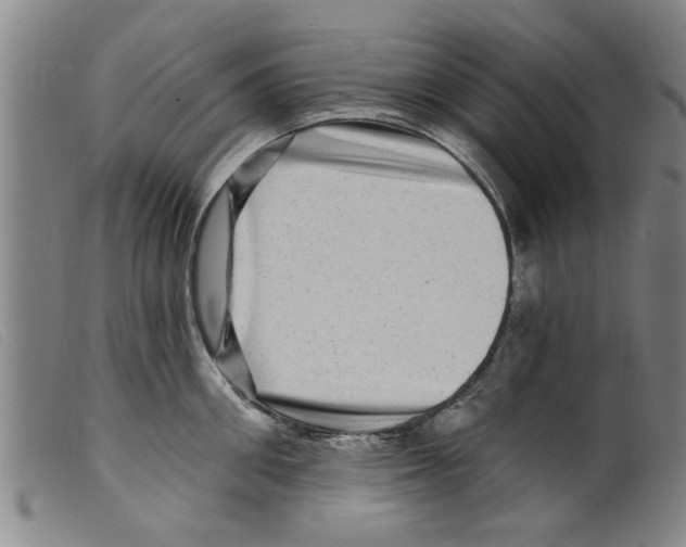 X0000098200906200805221538