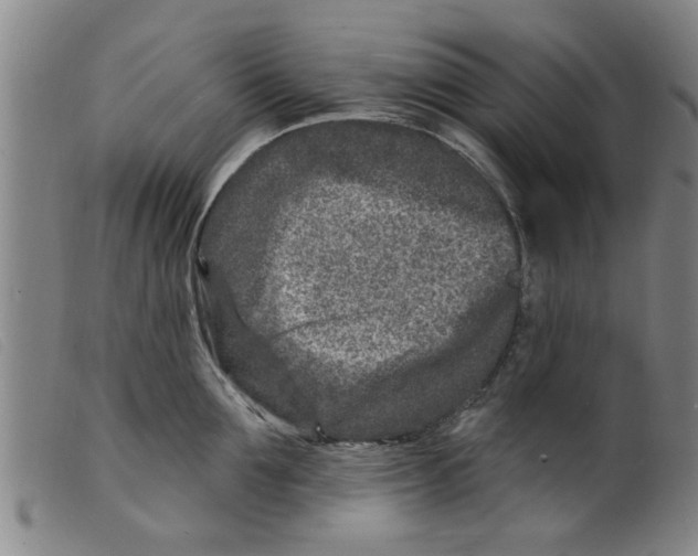 X0000098200907200805221538