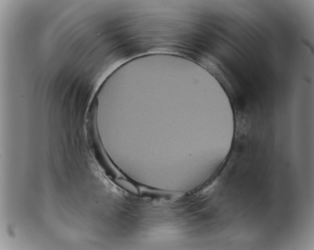 X0000098200908200805221538