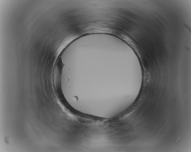 X0000098200909200805221538