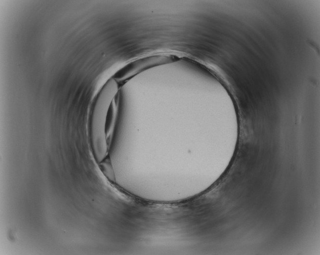 X0000098200910200805221538