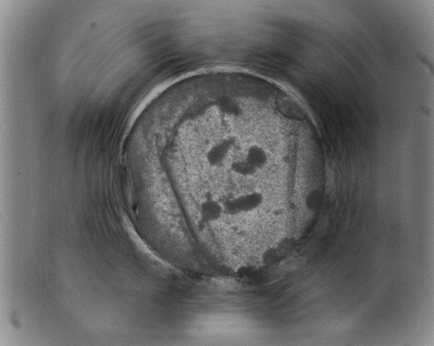X0000098200911200805221538