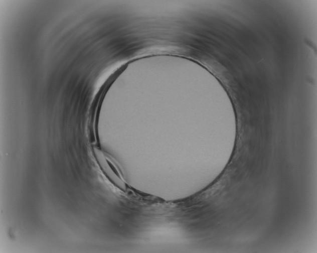 X0000098200912200805221538