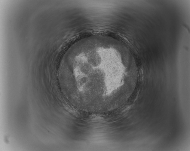 X0000098200913200805221538
