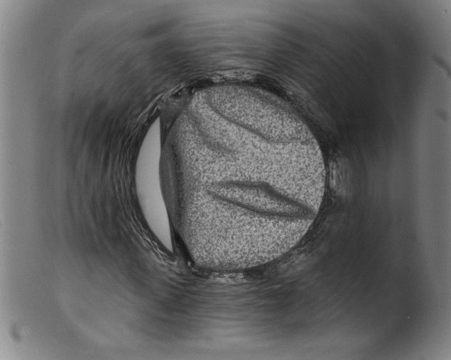 X0000098200915200805221538