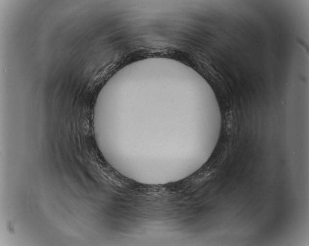 X0000098200916200805221538