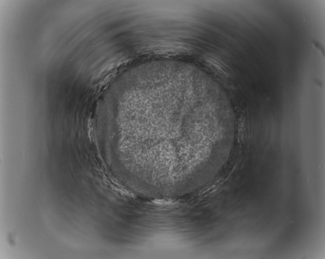 X0000098200917200805221538