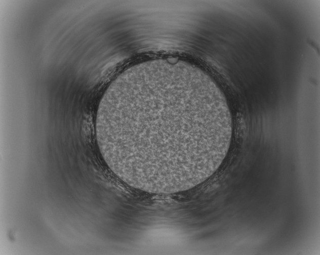 X0000098200918200805221538