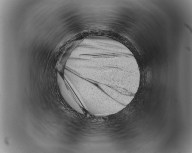 X0000098200919200805221538