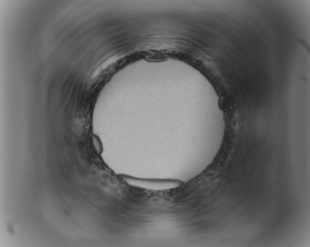 X0000098200920200805221538