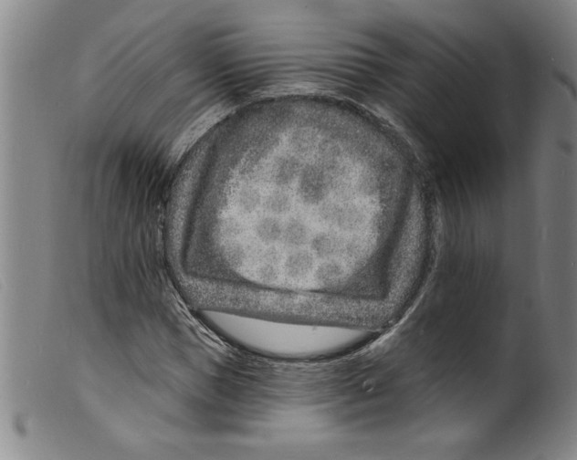 X0000098200921200805221538