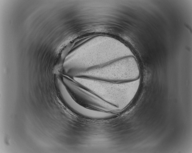 X0000098200922200805221538