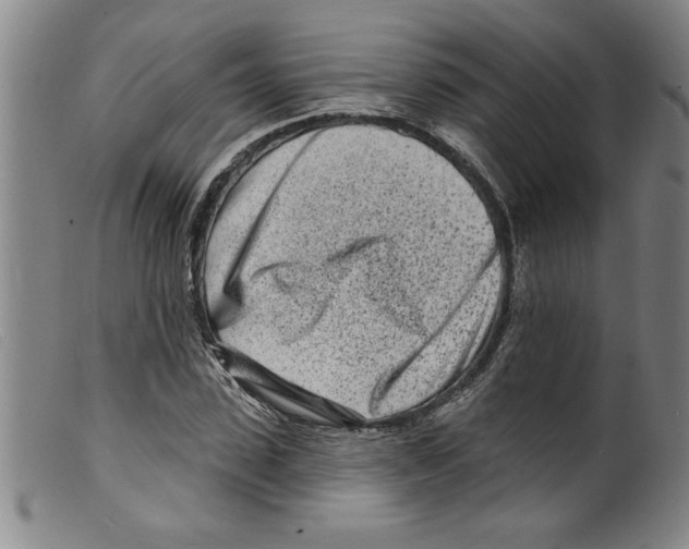 X0000098200923200805221538
