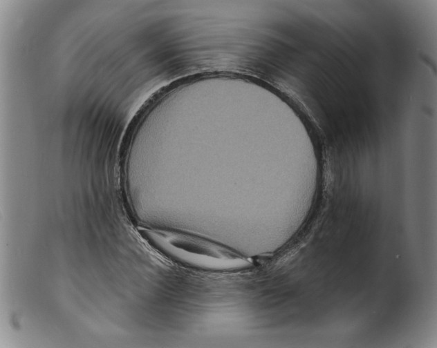 X0000098200924200805221538