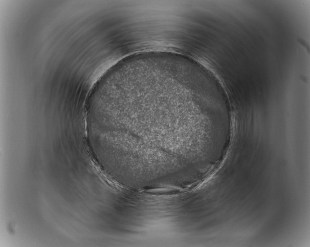 X0000098200925200805221538