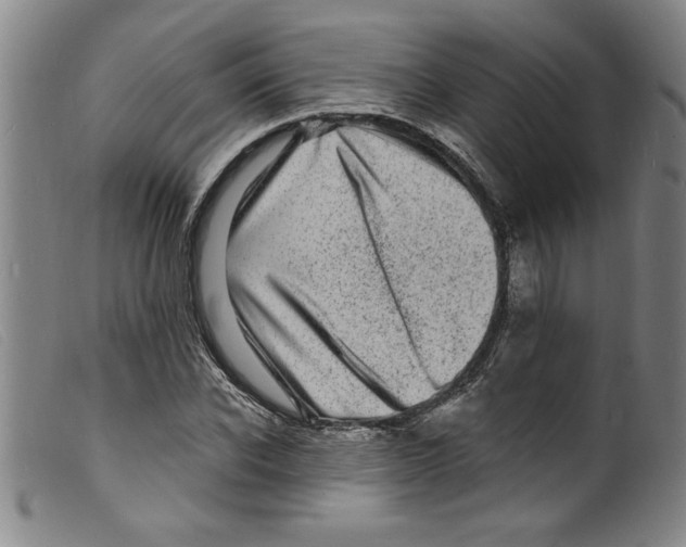 X0000098200926200805221538