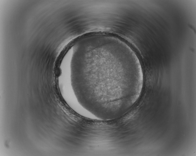 X0000098200927200805221538