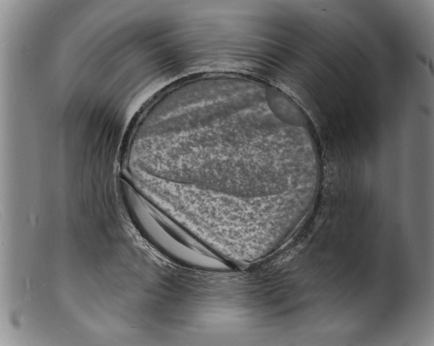 X0000098200928200805221538