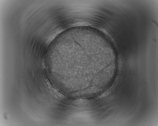 X0000098200929200805221538