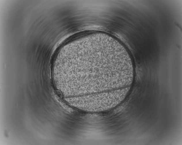 X0000098200931200805221538