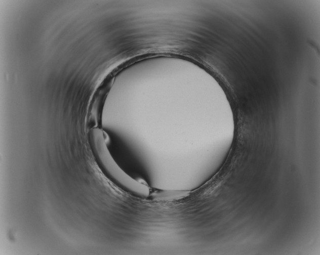 X0000098200932200805221538