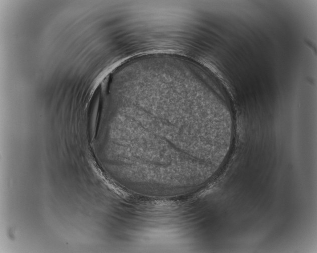 X0000098200933200805221538