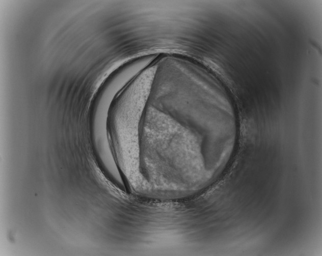 X0000098200934200805221538